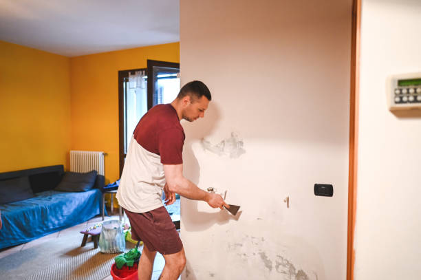 Best Professional Mold Removal  in Kenilworth, PA